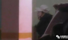 吃瓜鹅娱乐圈完整版,揭秘明星幕后故事，带你领略娱乐圈风云变幻