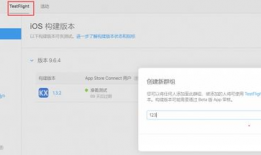 testflight91直播,揭秘空中惊魂时刻